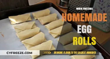 Mastering the Art of Freezing Homemade Egg Rolls for Perfect Preservation