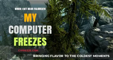 Fixing Falkreath Freeze: Troubleshooting Skyrim Crashes Near the Hold