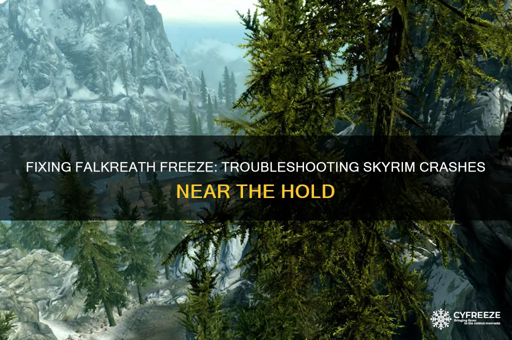 when i get near falkreath my computer freezes