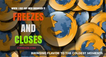 Why Does My Web Browser Freeze and Crash Instantly? Solutions Inside