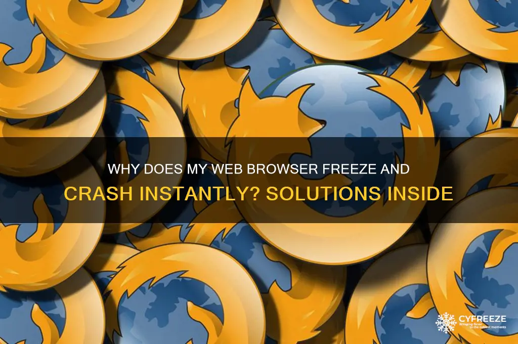 when i use any web browser it freezes and closes