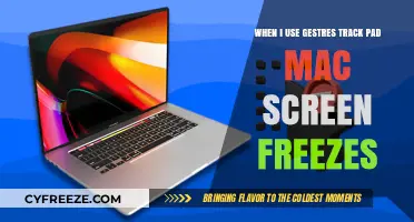 Fixing Mac Screen Freeze When Using Gestures on Trackpad