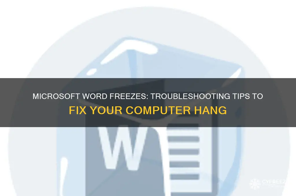 when i use microsoft word computer freezes