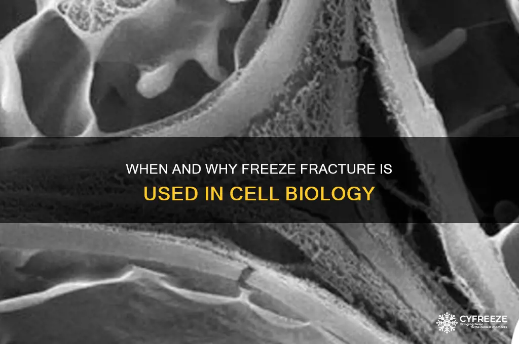 when is freeze fracture used in cell biology