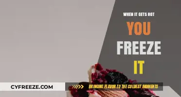 Beat the Heat: Freeze It for Instant Summer Refreshment