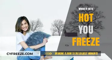 Beat the Heat: Why Freezing is the Ultimate Summer Survival Hack