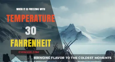 Surviving the Chill: Tips for 30°F Freezing Temperatures