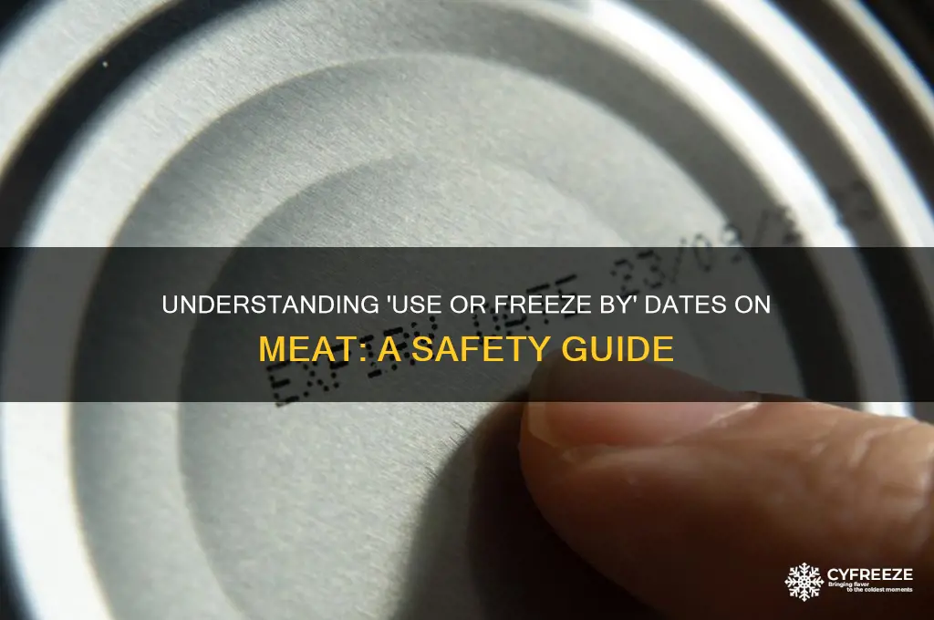 when meat says use or freeze by