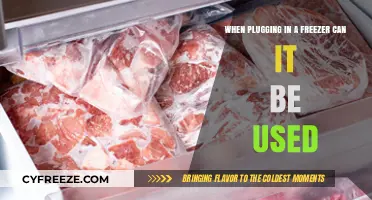 Can You Use a Freezer Immediately After Plugging It In?