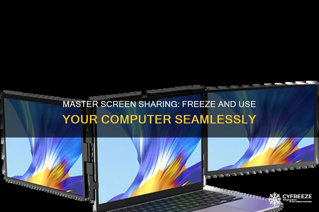 when sharing screen how to freeze and use computer