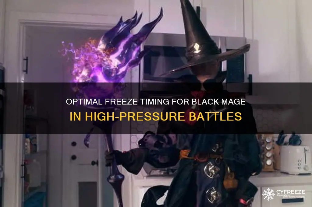 when should black mage use freeze