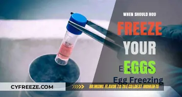 Considering Egg Freezing: Timing and Decision-Making Guide