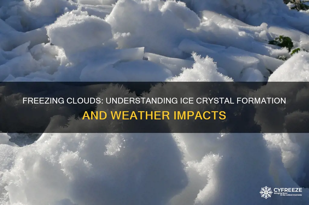 when the temperature in a cloud is below freezing
