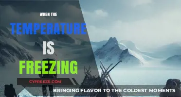 Surviving Sub-Zero: Essential Tips for When the Temperature is Freezing
