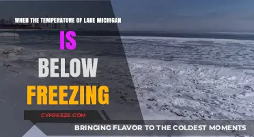 Lake Michigan's Icy Grip: Exploring Sub-Freezing Temperatures and Impacts