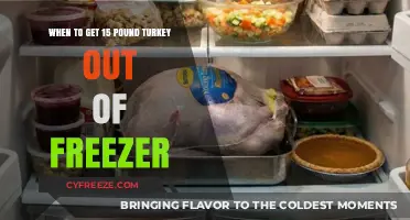 Perfect Thawing: When to Defrost Your 15-Pound Turkey for Success