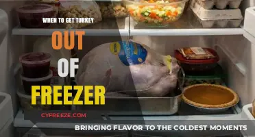 Perfect Thawing: When to Get Your Turkey Out of the Freezer