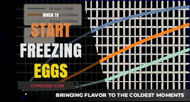 Egg Preservation: The Optimal Age to Consider Freezing Your Eggs