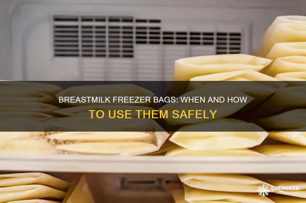 when to use breastmilk freezer bags