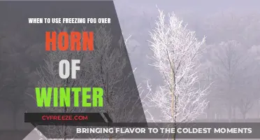 Freezing Fog vs. Horn of Winter: Choosing the Right Ability