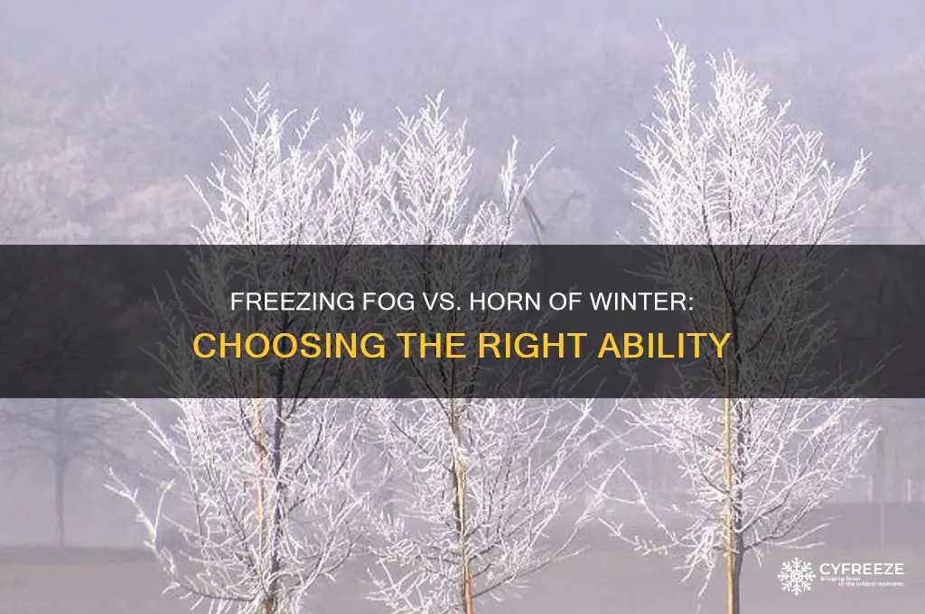 when to use freezing fog over horn of winter