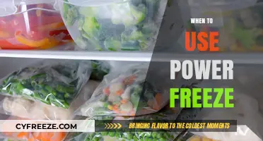 Maximize Food Freshness: When to Use Power Freeze Effectively