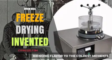 Exploring the Origins: A Brief History of Freeze Drying Technology