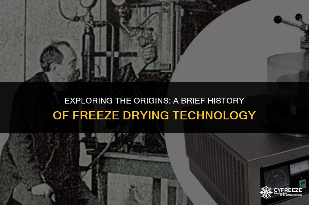 when was freeze drying invented