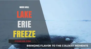 Predicting Lake Erie's Freeze: A Seasonal Mystery Unfolds