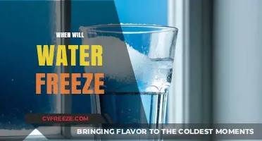Chilling Insights: The Science Behind Water's Freezing Point
