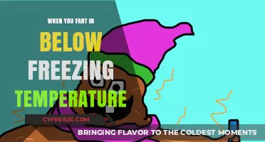 Frozen Farts: What Happens When Gas Meets Below-Freezing Temps?