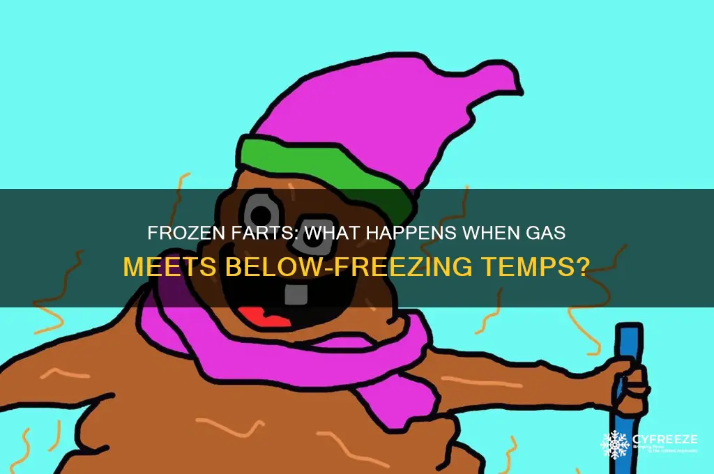 when you fart in below freezing temperature