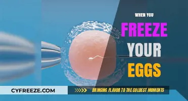 Empowering Choices: The Journey of Egg Freezing for Future Fertility