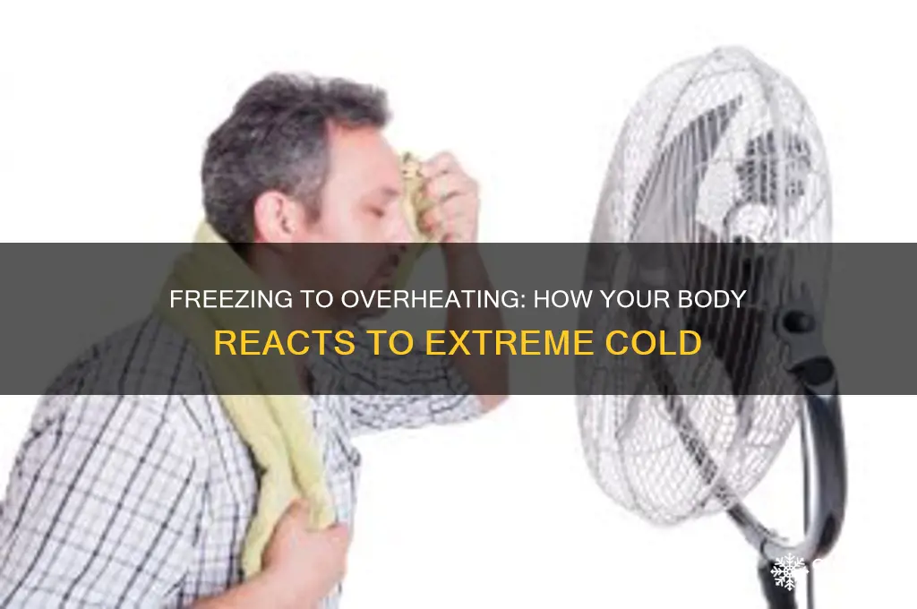 when your body is freezing does your body get hot