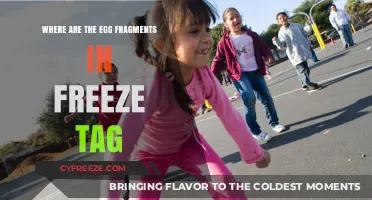 Unveiling the Mystery: Egg Fragments in Freeze Tag Explained