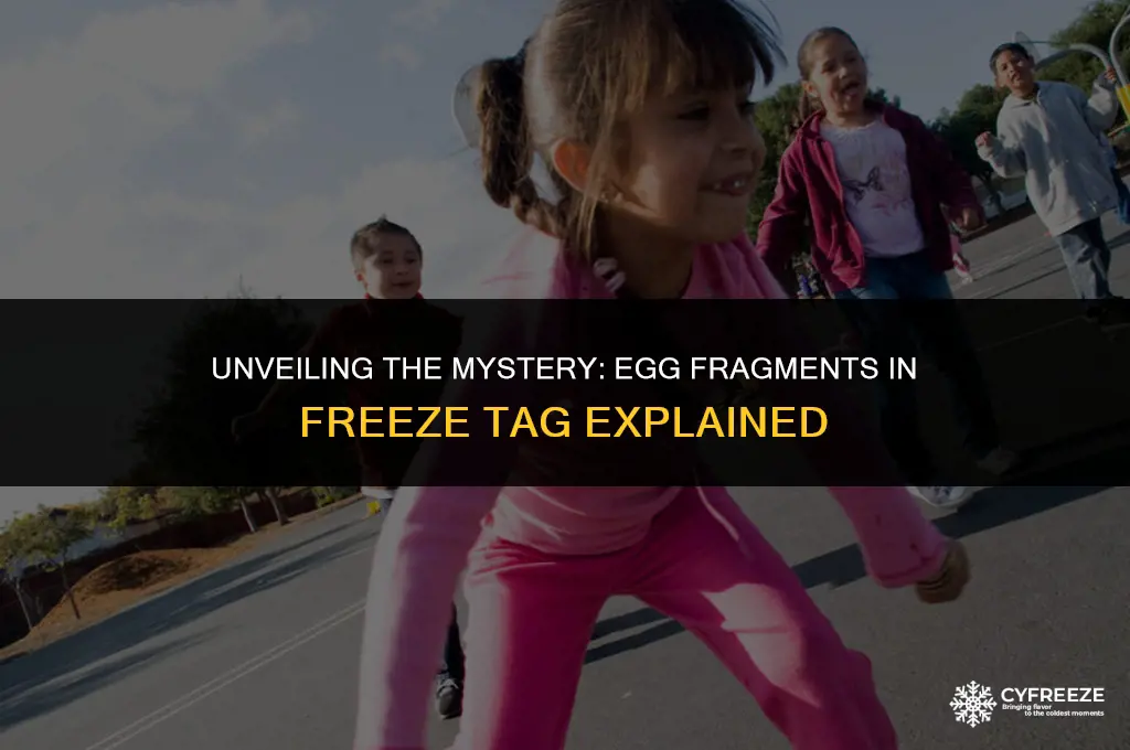 where are the egg fragments in freeze tag