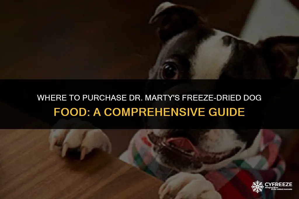 where can i buy dr marty
