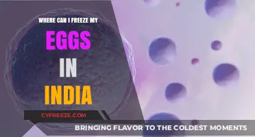 Egg Freezing in India: Options and Costs for Preserving Fertility