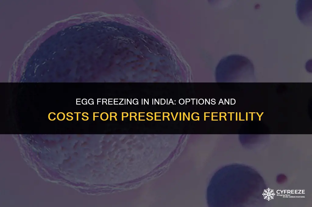 where can i freeze my eggs in india