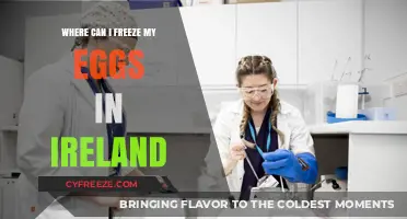 Egg Freezing Options in Ireland: A Comprehensive Guide
