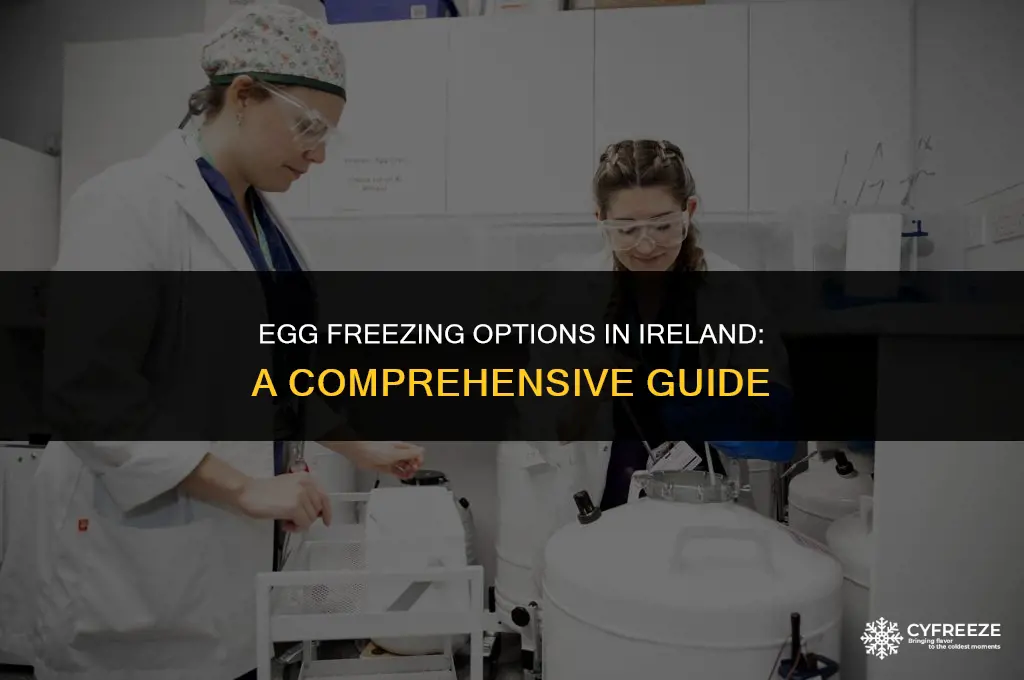 where can i freeze my eggs in ireland