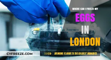 Egg Freezing in London: Your Guide to Preserving Fertility Options