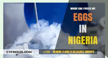 Egg Freezing in Nigeria: Options and Considerations for Women