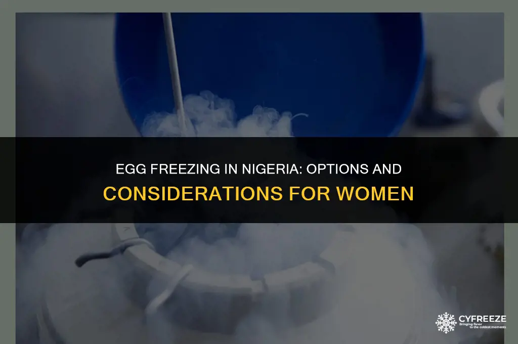 where can i freeze my eggs in nigeria