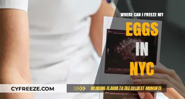 Egg Freezing Options in NYC: A Comprehensive Guide