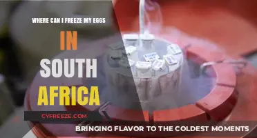 Egg Freezing Options in South Africa: A Comprehensive Guide