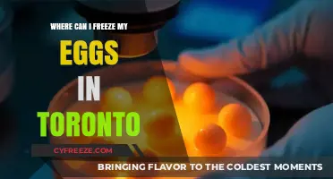 Egg Freezing Options in Toronto: A Comprehensive Guide