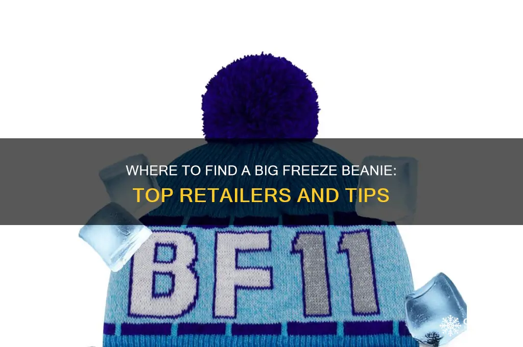 where can i get a big freeze beanie