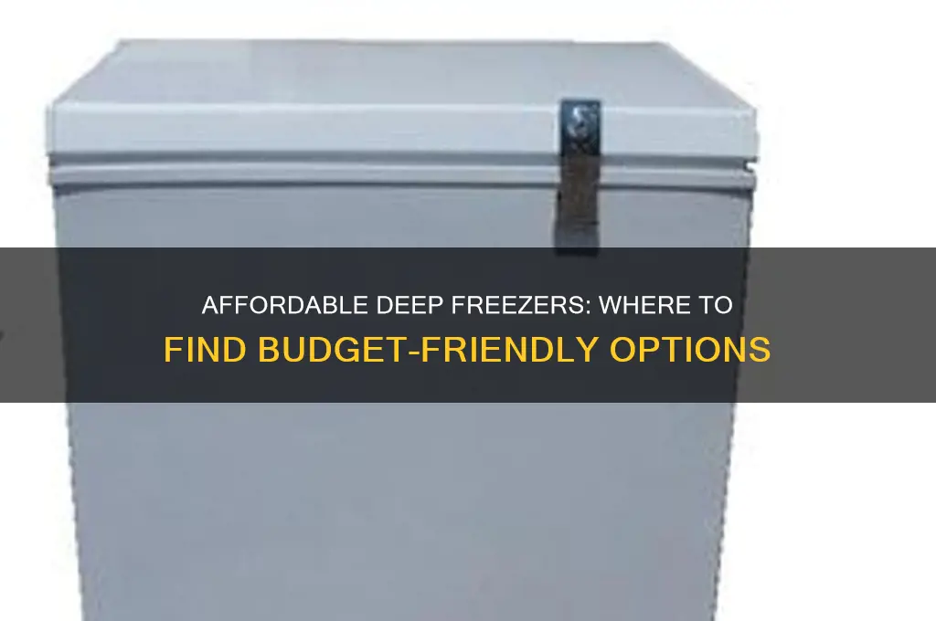 where can i get a cheap deep freezer