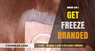 Where to Get Freeze Branding: A Comprehensive Guide for Livestock Owners